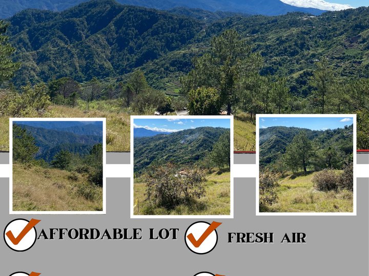 Lot for Sale in Itogon, Benguet