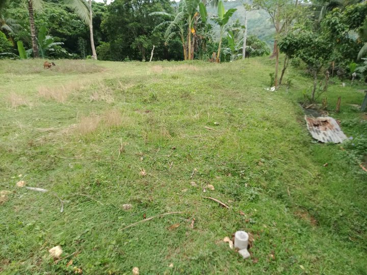 Lot for sale in Brgy.Sacaon,Garcia-Hernandez,Bohol,Philippines