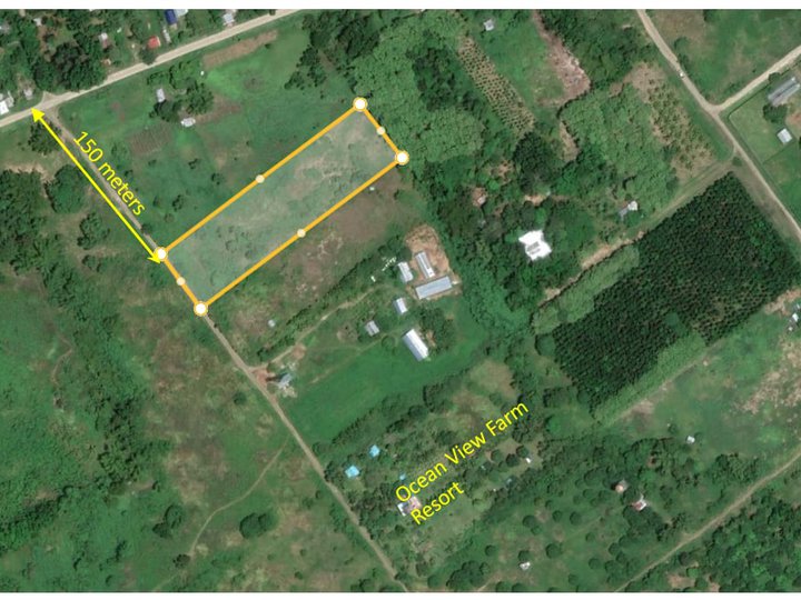 Prime seaside farmland near resort town in Palawan