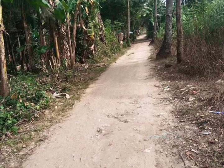 100 sqm Raw Land For Sale in Cebu City