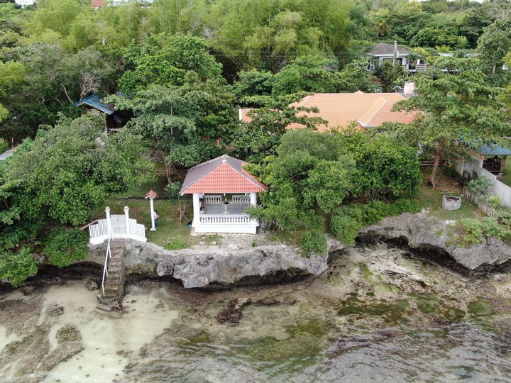 1,448 sqm Beach Property For Sale in San Isidro Bohol