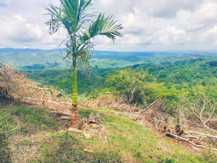 500 sqm Agricultural Farm For Sale in Tanay Rizal