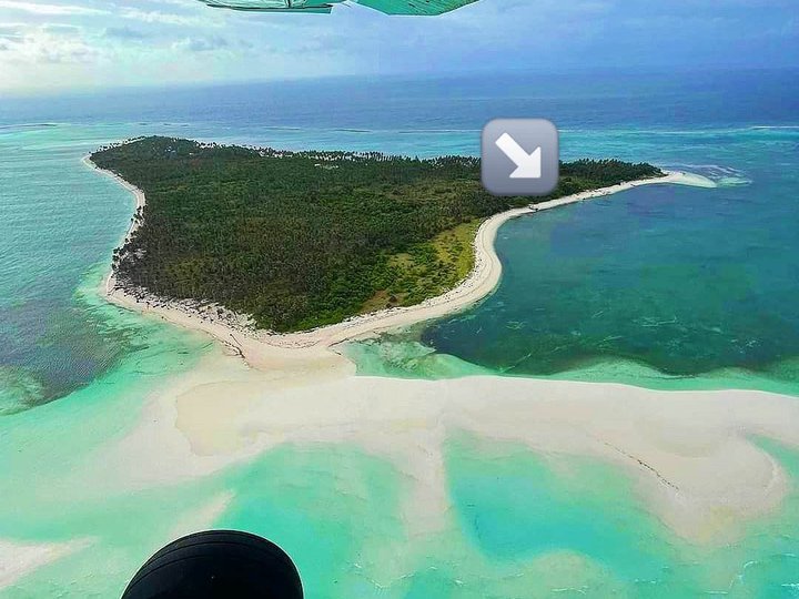 2 hectares Beach Property For Sale in Balabac Palawan