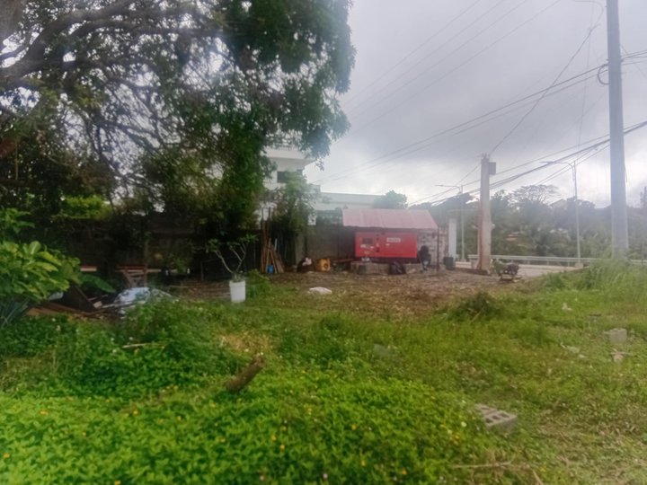 1.99hec Farm Lot for Sale in Brgy. Mayasang Lemery Batangas
