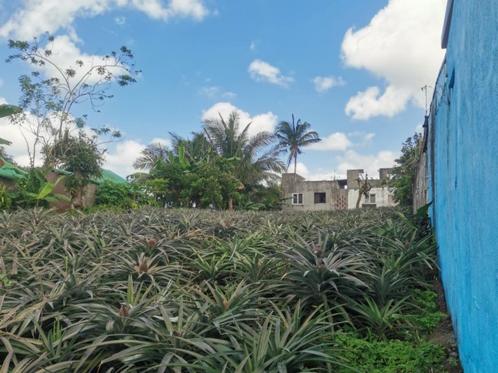 780 Sqm Residential Farm For Sale