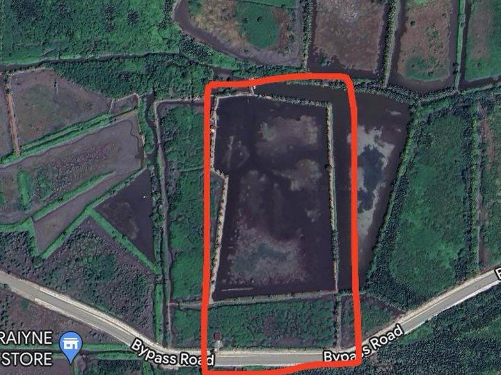 Raw Land For Sale 1000 pesos/sqm: Fishpond business/Residential