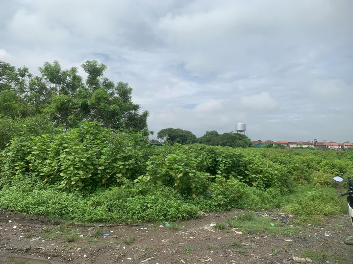 3,089.5 sqm Commercial Lot For Sale in General Trias Cavite