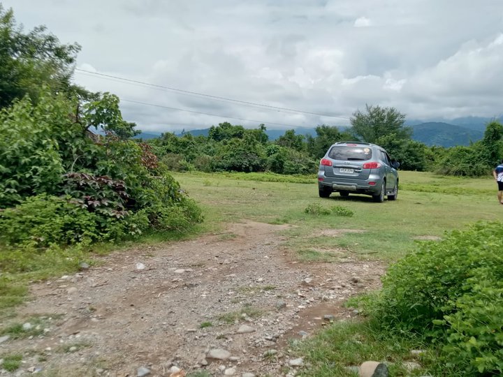 15 hectares rawland For Sale in Sison Pangasinan