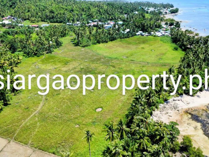 Sta.Monica Siargao Lot: Installment 6300 pesos/sqm