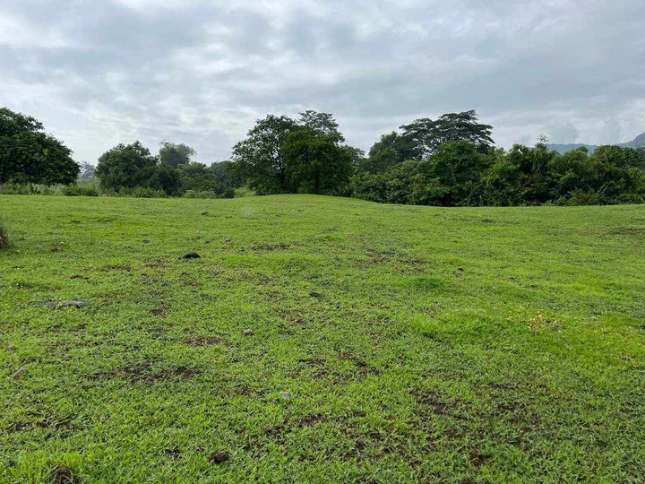 2.6 hectares Agricultural Farm For Sale in Cuyapo Nueva Ecija