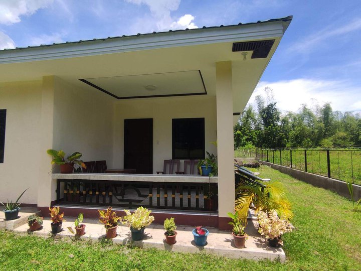 Farm LOT 2,830 sq.m for Sale in Zamboanguita Negros Oriental