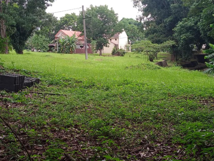 230 sqm Residential Lot For Sale in Greenwoods Dasmarinas Cavite