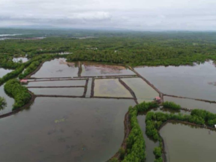 64 HECTARES FISHPOND FOR SALE