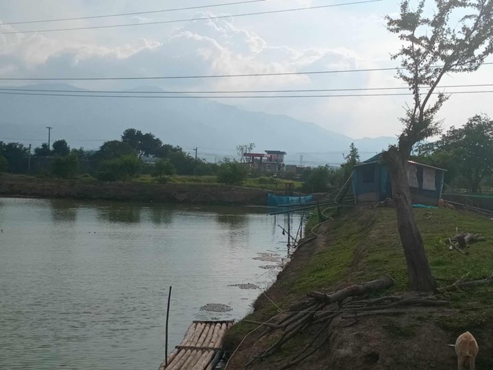 3.08 hectares fishpond For Sale in Labrador Pangasinan