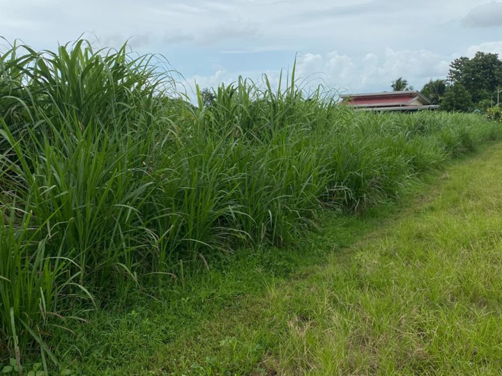 3 hectares Raw Land For Sale in Lian Batangas