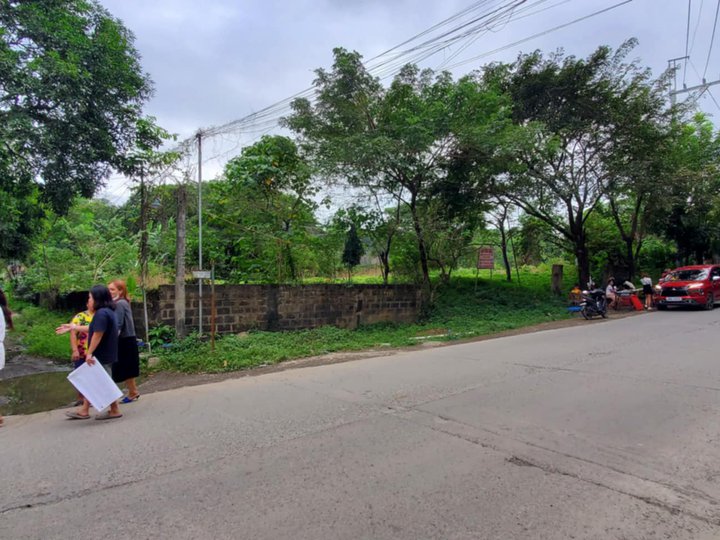 Lot for Sale @Sitio Canlibot Brgy. Bagumbayan, Teresa, Rizal