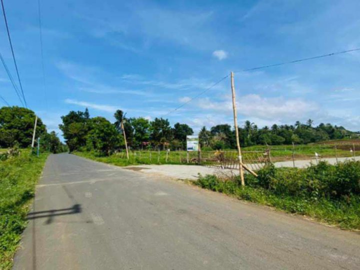 Residential Farm lot for Sale in Alfonso, Cavite