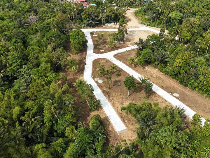 Lot for sale in Alfonso, Cavite with Free Transfer of Title