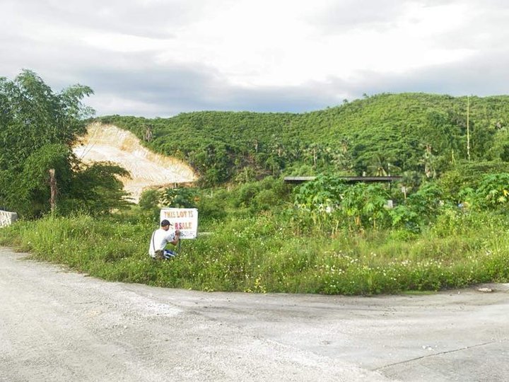 Affordable Residential Lot For Sale in Consolacion Cebu