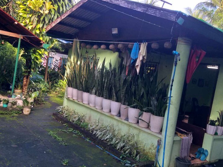 2 bedroom,3 T&B,1 maid room, house for sale in lipa