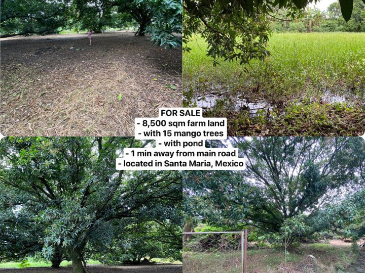 8,500 sqm Residential Farm For Sale in Mexico Pampanga