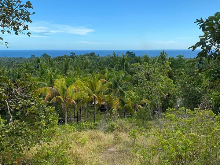 Overlooking lot with Sea view in Bohol