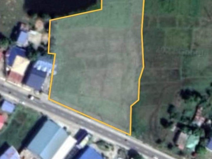 8,116 sqm Agricultural Farm For Sale in Alaminos Pangasinan