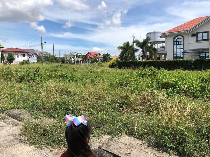 Residential Lot For Sale(100sqm) - Muscokaville,Santa Maria Bulacan
