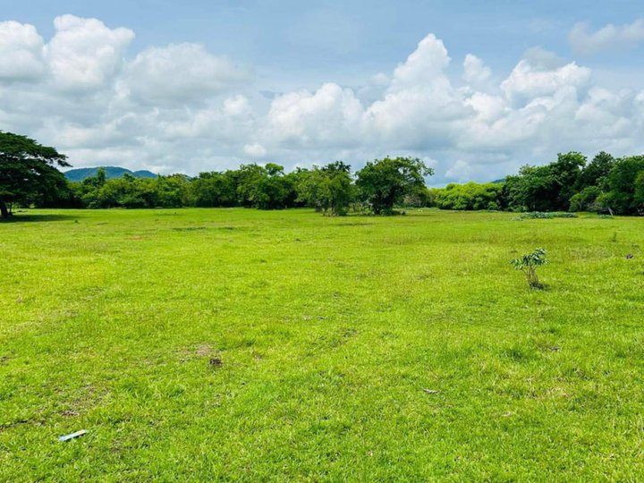 500 sqm Residential Farm For Sale in San Juan Batangas