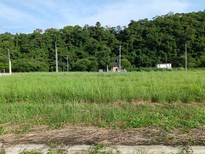 Titled Ready for 150 sqm Residential Lot for Sale in Baras Rizal