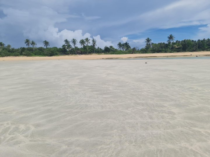 Beach lot for sale in Jomalig, Quezon, offered by a licensed real estate broker