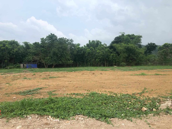 1,000 sqm Residential Farm For Sale in Nasugbu Batangas