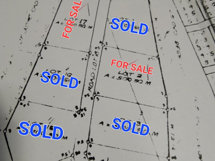 500 sq.m. lot for sale in Lourdes, Cortes,Bohol