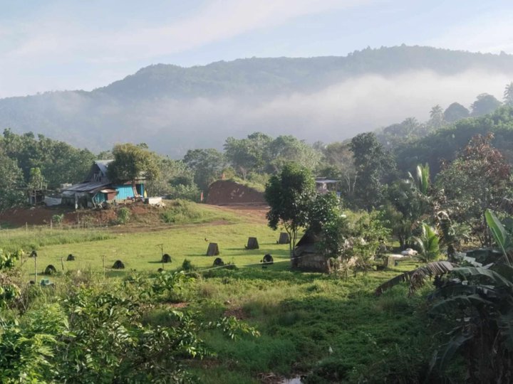 500 sqm Residential Farm For Sale in Tanay Rizal