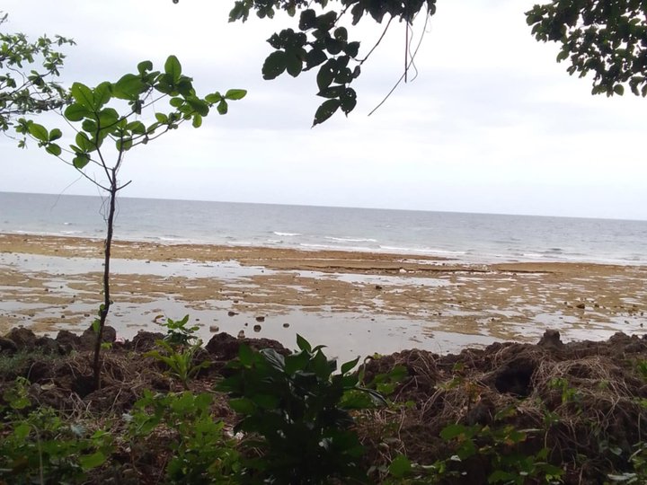 1,520 sq mtr Beach cliff for sale in Poro Cebu
