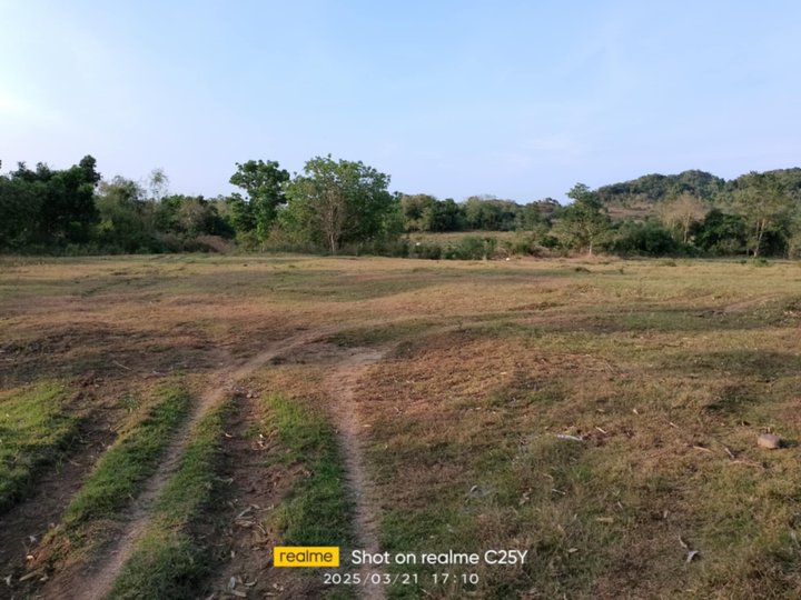 Lot for sale 18has along barangay road!!!