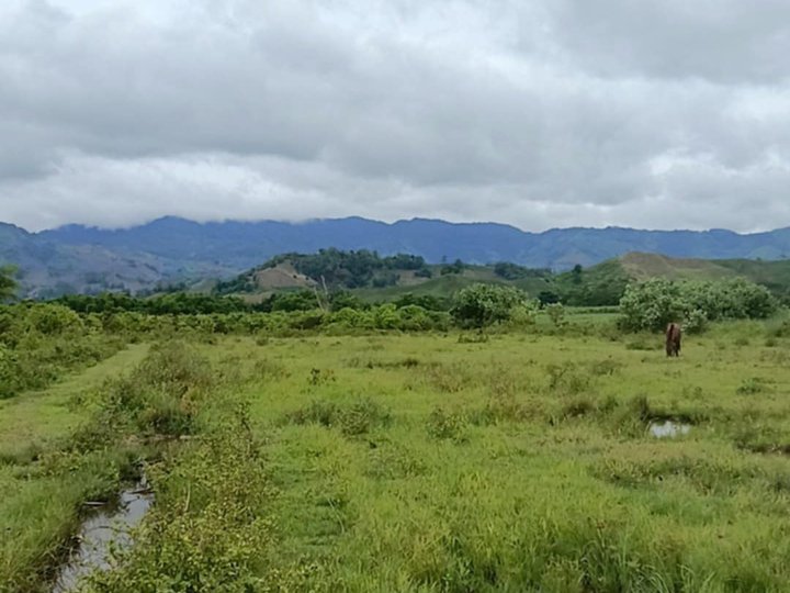 24 Hectares Good for Housing Project For Sale in Cabanglasan Bukidnon