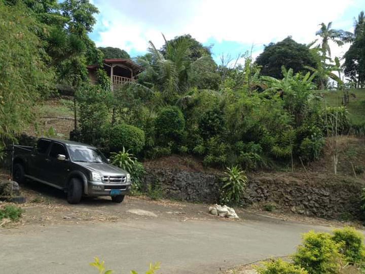 2,494 sqm Residential Lot For Sale in Liloan Cebu