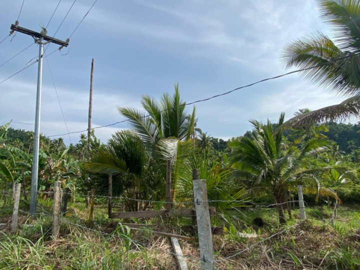 SIARGAO RESIDENTIAL FARM