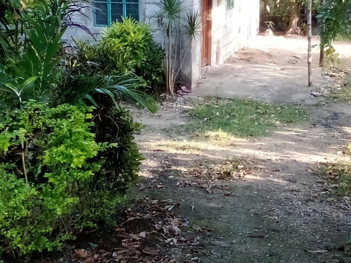 House and lot single attached  For Sale in Bani Pangasinan