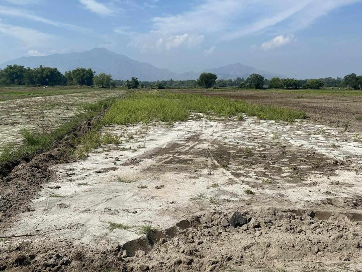 6,040 sqm Agricultural Farm For Sale in San Narciso Zambales