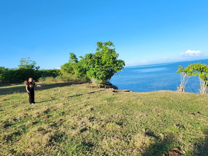 3,108 sqm Beach Property For Sale in Daanbantayan Cebu