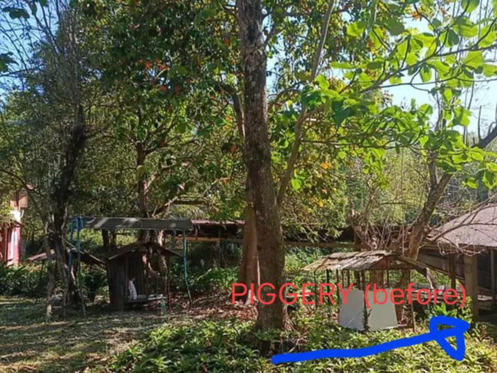 LF investor for 10,070 sqm residential lot in De Ocamo Trece Cavite