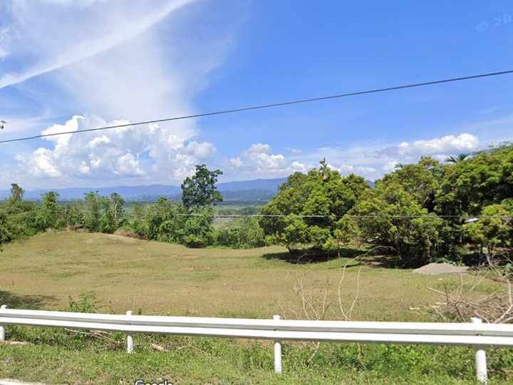 5,000 sqm Commercial Lot For Sale in Jones Isabela