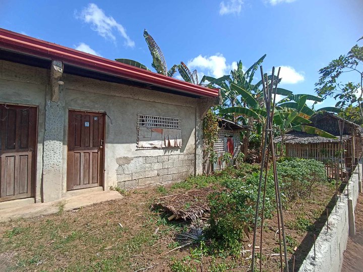 House & Lot for sale by owner in Pilar Capiz