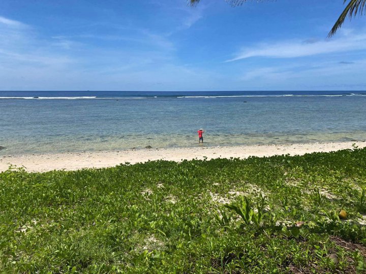 Installment 362 sqm Beach Property For Sale in Lupon Davao Oriental