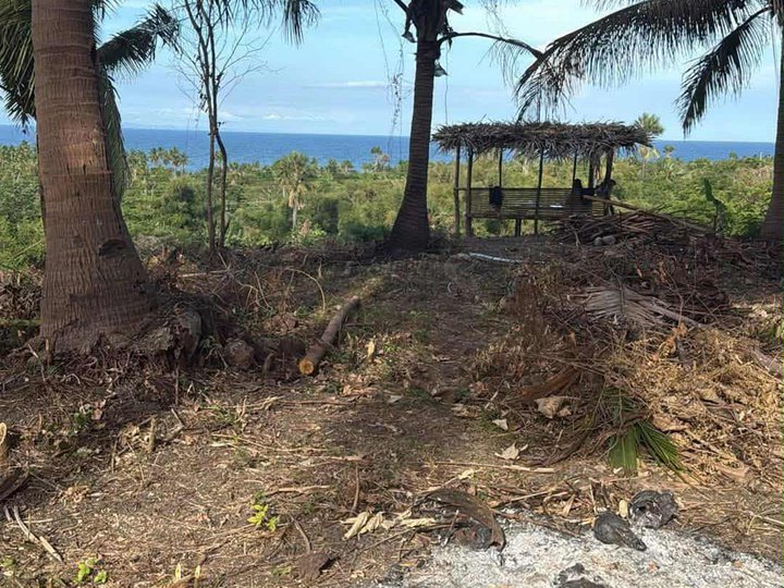 500 sqm Farm Lot For Sale in San Juan Batangas