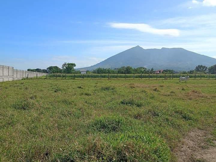 3000sqm  agricultural farm lot for sale in Magalang Pamp