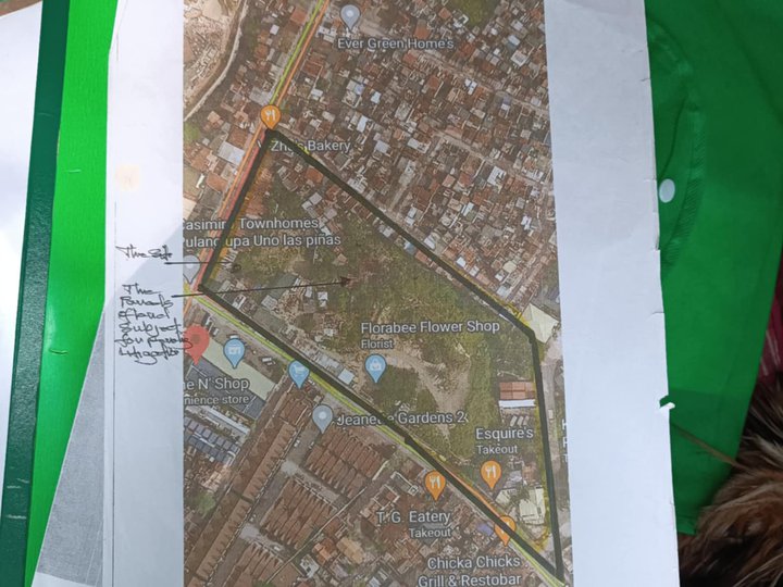 1.6 hectares Commercial Lot For Sale in Las Pinas