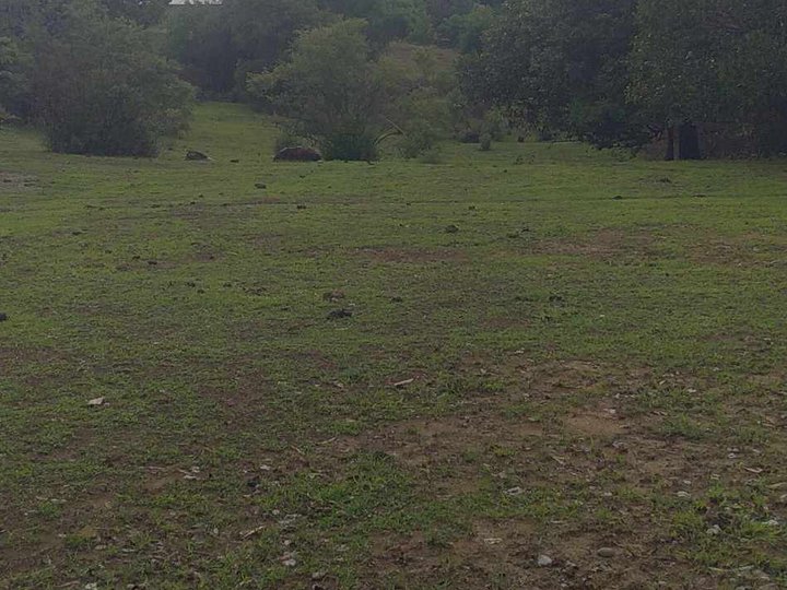 8,249 sqm Agricultural Farm For Sale in Mangatarem Pangasinan [Lot 🚜